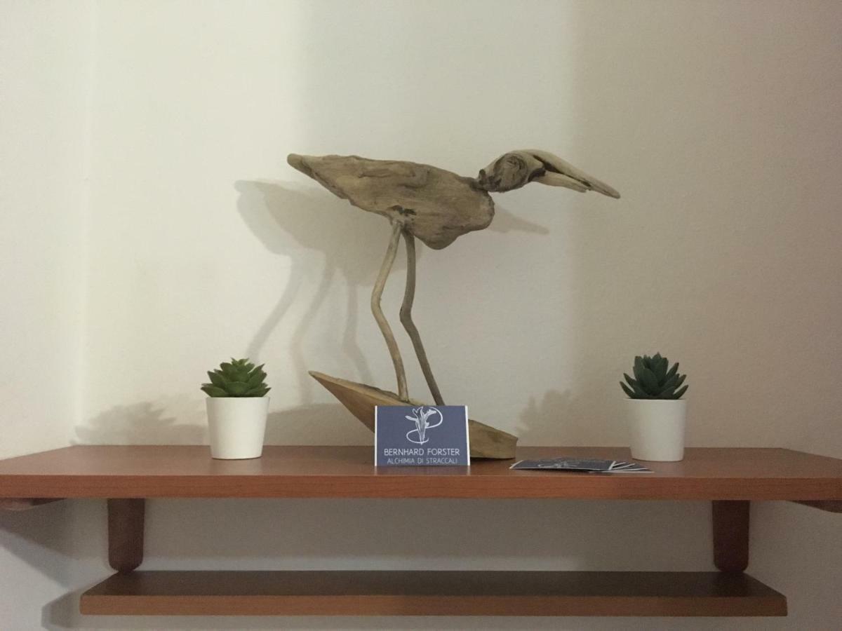 Il Mio Piccolo Angolo Di Mare Apartment Viareggio Exterior foto